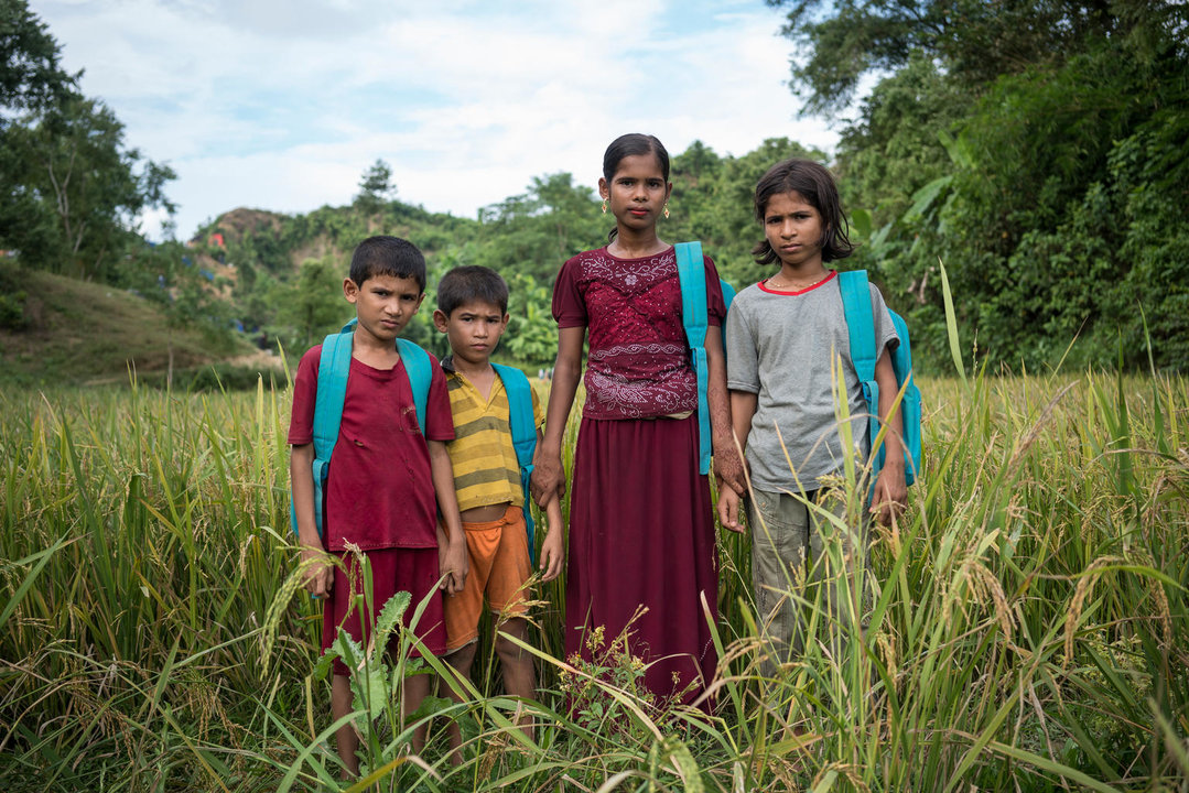 On 15 November 2017 in Bangladesh, siblings (left-right) Mohammed Anis, 8, Mohammed Safayet, 7, Sufaira, 12, and Homaira Amit Hassan, 10, pause in a field on the way to the UNICEF learning centre they attend, in the Unchiprang makeshift camp for Rohingya refugees in Cox’s Bazar district. They are among 15,000 children receiving educational and other support at 182 UNICEF learning centres in Rohingya refugee camps and makeshift settlements in the district. In Myanmar, the siblings had been prohibited from attending school. “In Myanmar, we do not [sic] feel happy, because the police did not allow us to go to school, or to play. They forced us away.” Homaira says. “We were very sad there as the police would not let us go to school,” Sufaira said. “We just wanted to learn and play like the other children.” Her family, who came to Bangladesh in August, fled their homeland after their village was attacked by the Myanmar military. “They were shooting bullets, cutting people with knives and slaughtering the people,” Homaira said. “That is why we fled here.”

Since late August 2017, some 613,000 Rohingya have fled from Myanmar to neighbouring Bangladesh to escape the violence in their homeland. More than half of them are children – many in dire need of vital support. High levels of severe acute malnutrition among young children have been found in the refugee camps, and antenatal services to mothers and babies are lacking. Expanding the provision of safe water, sanitation and improved hygiene for Rohingya children is the top priority, and support for children traumatized by violence needs to be expanded. UNICEF focus also includes providing Rohingya children with learning and support services in child-friendly spaces. In camps and makeshift settlements in Cox’s Bazar district, UNICEF has set up 182 learning centres that are providing 15,000 children with education, psychosocial and other support. The centres – each one operating in three shifts,