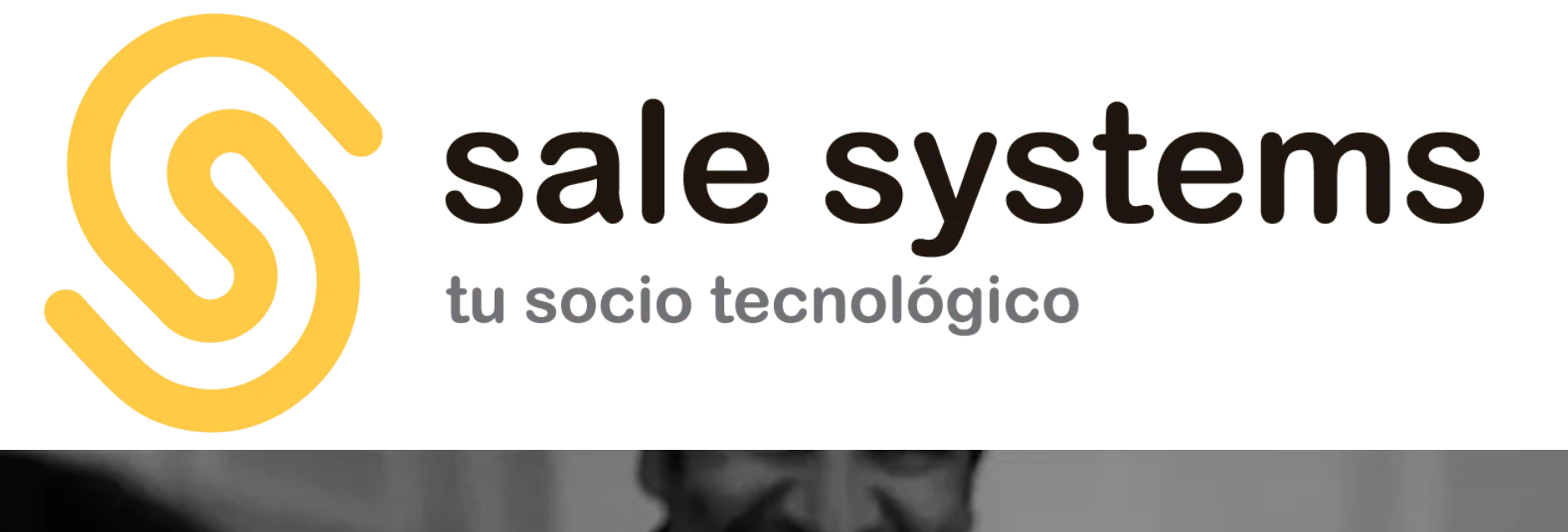 sale systems web